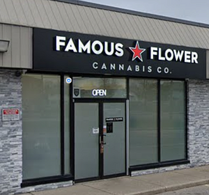Famous Flower Cannabis Co. - Southdale store front