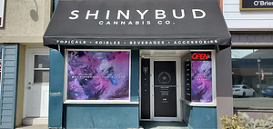 Shiny Bud - Blenheim store front