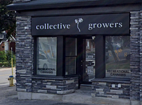 Banana Express Cannabis store front