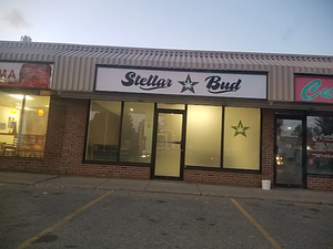 Stellar Bud - Woodstock store front