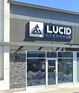 Cannabis Revolution store front