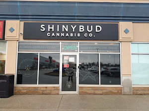 Shinybud Cannabis Co - Alliston store front