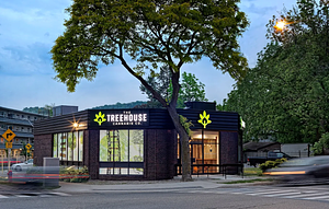 The Treehouse Cannabis Company store front