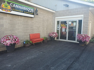Cannabis 228 store front