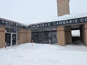 Shinybud Cannabis Co - Schomberg store front