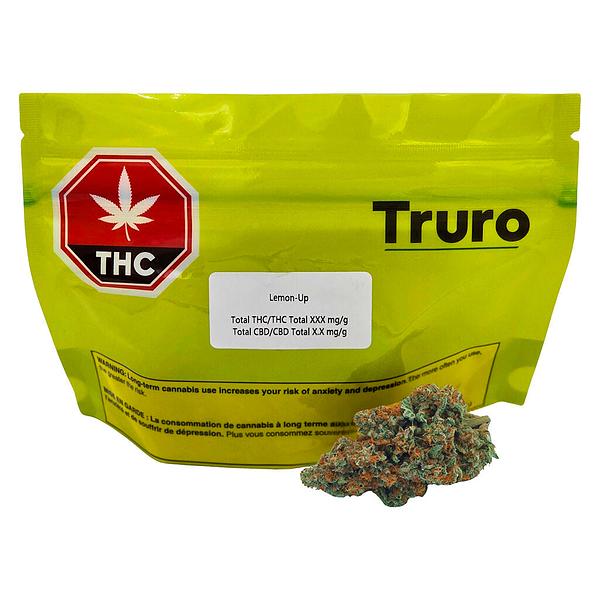 Truro - Lemon-Up image 4