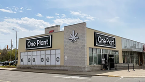 One Plant - St. Catharines store front