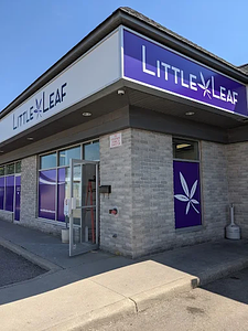 Little Leaf Cannabis Co. store front