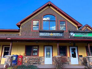 Buzzed Buds Co. - Woodview store front
