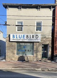 BlueBird Cannabis - St Lawrence store front