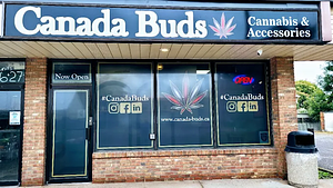 Canada Buds - St. Catherines store front