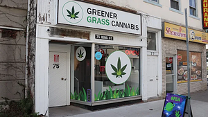 Greener Grass Cannabis store front