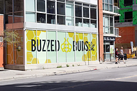 Buzzed Buds Co. - Ottawa Byward Market store front