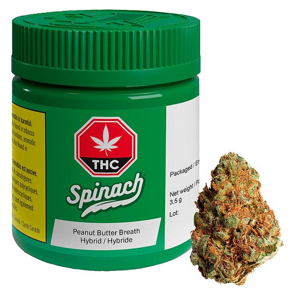 Spinach - Peanut Butter Breath image 4