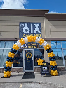 The 6ix Cannabis - Scarborough store front