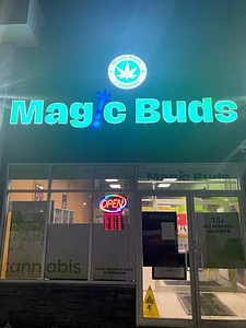 Magic Buds - Walden store front