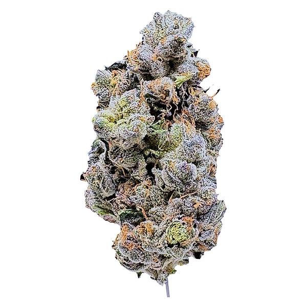 LaHoja - Platinum Blue Gellati