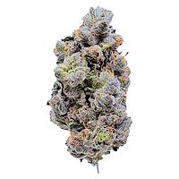 LaHoja - Platinum Blue Gellati