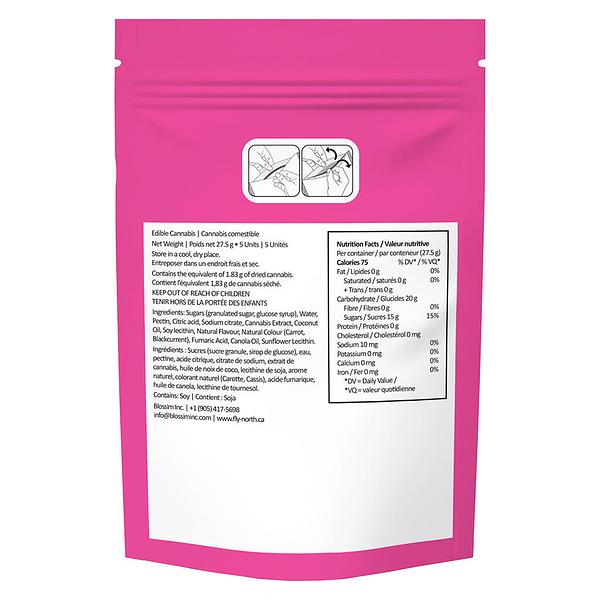 Fly North - Space Tokens Galactic CBG 1:1:1 image 3