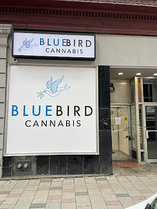 BlueBird Cannabis - Queen St store front