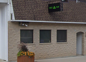 Green Garden Cannabis - Brussels store front