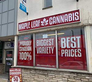 Maple Leaf Cannabis - Owen Sound store front