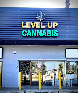 Level Up Cannabis store front