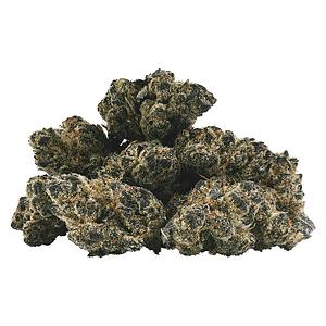 BC 1/4 - Pink Pavlova