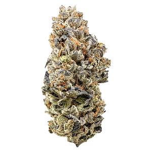 Queen of the Underground - Candy Apple