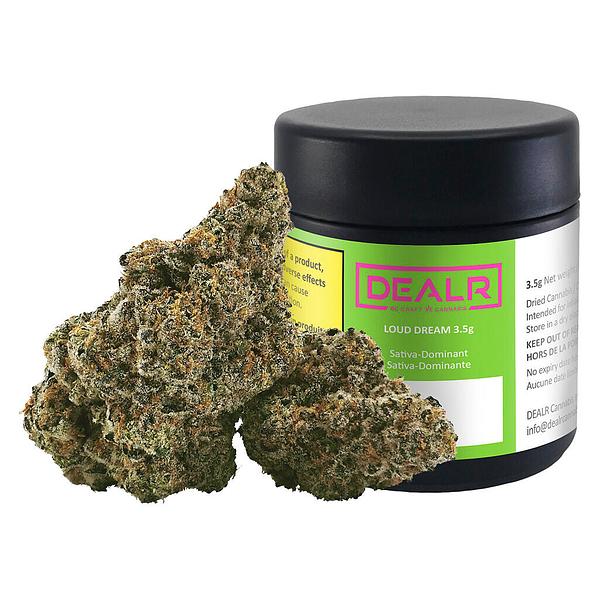 DEALR - Loud Dream