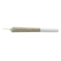 Daily Special - Indica Js Pre Roll