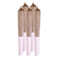 Station House - Amnesia Haze Pre Roll