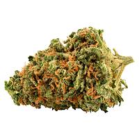 Palmetto - Platinum Cookies