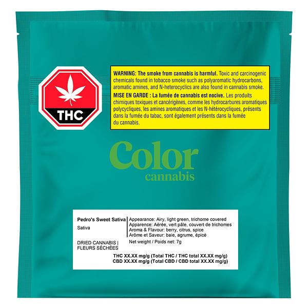 Color Cannabis - Pedro's Sweet Sativa