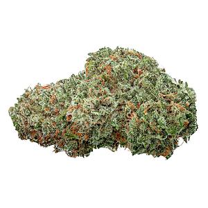 Highly Dutch Organic - Amsterdam Sativa