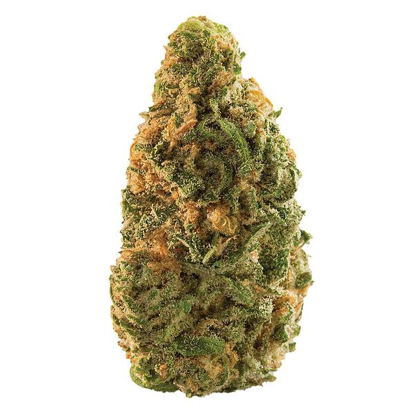 Spinach - Blue Dream