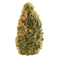 Spinach - Blue Dream