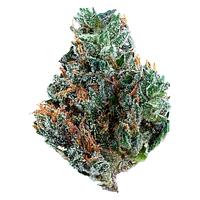 Tribal - Gelato Mint