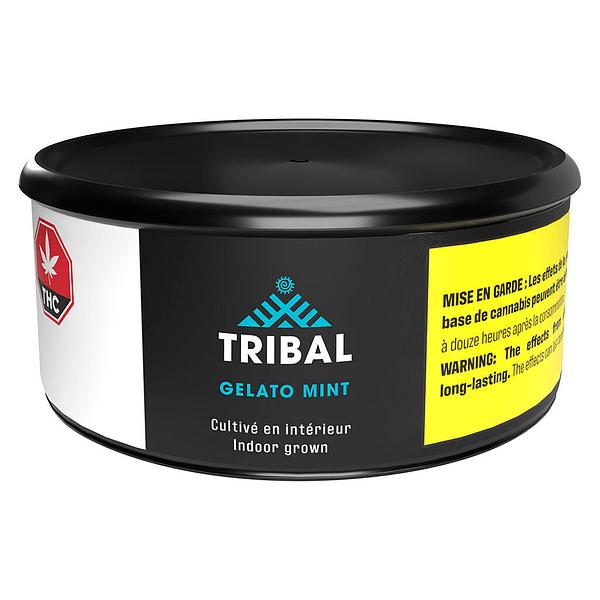 Tribal - Gelato Mint