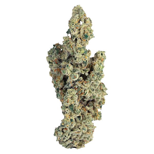 PURPLEFARM - Miracle Mints image 1