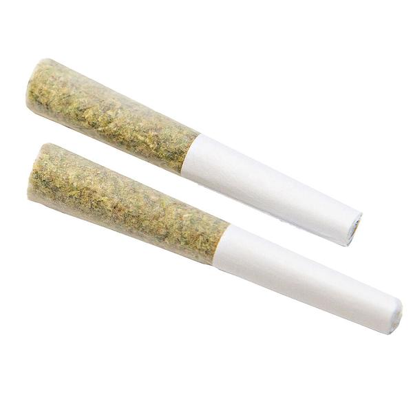 Color Cannabis - Mango Haze Pre Roll