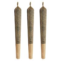 Choice Growers - Jeffrey Pre Roll