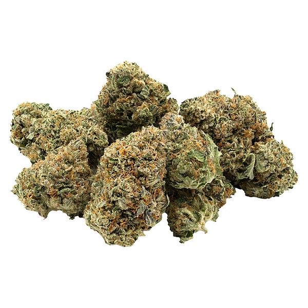 1964 - Organic Comatose