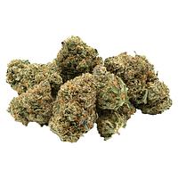 1964 - Organic Comatose