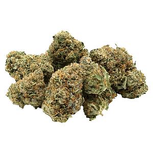 1964 - Organic Comatose