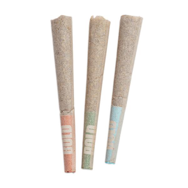 BOLD - Craft Sampler Pre Rolls