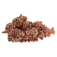 Space Flower - Slurricane Mint