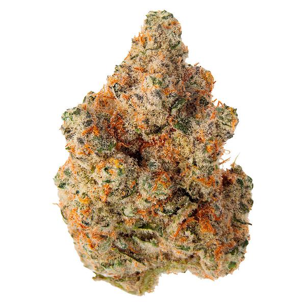 EastCann - Masterpiece image 1