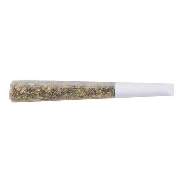 The Loud Plug - Gold Seal Hash Snake Infused Pre Roll
