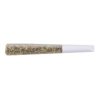 The Loud Plug - Gold Seal Hash Snake Infused Pre Roll
